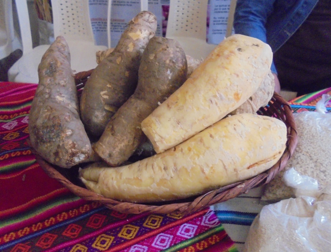 productos agrícolas andinos